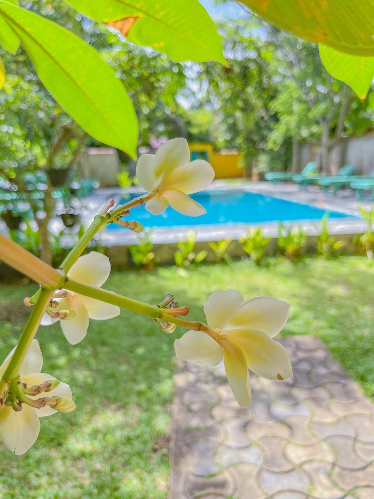 Easy Living Hotel Hikkaduwa Exterior photo